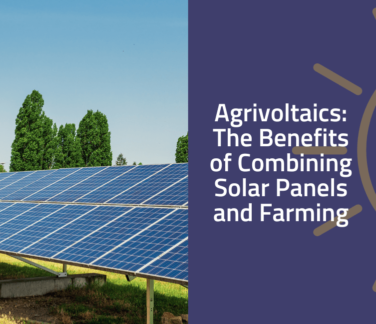 agrivoltaics