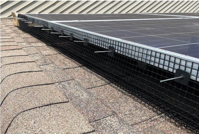 mesh solar critter guard